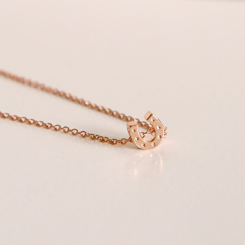 horseshoe-necklace